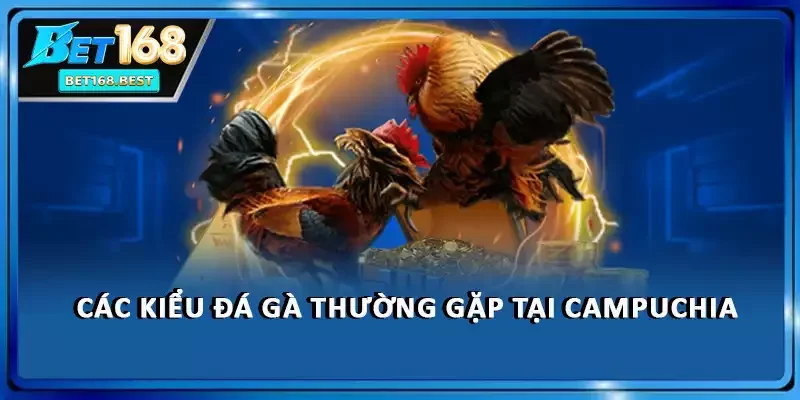 Các kiểu đá gà thường gặp tại Campuchia Các kiểu đá gà thường gặp tại Campuchia