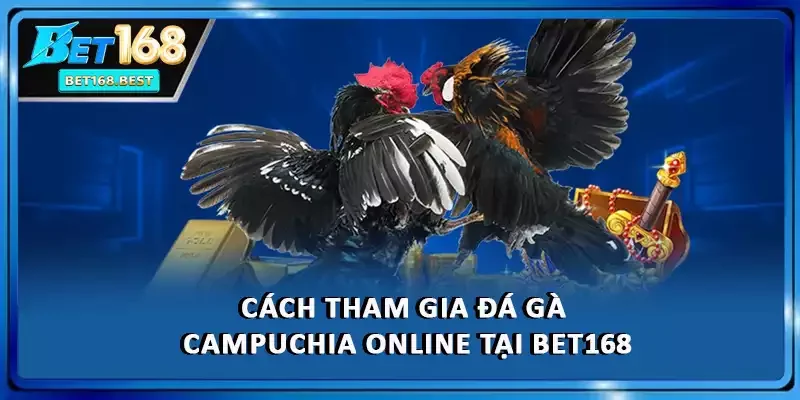 Cách tham gia đá gà Campuchia online tại BET168 Cách tham gia đá gà Campuchia online tại BET168