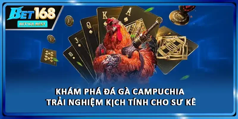 Khám Phá Đá Gà Campuchia - Trải Nghiệm Kịch Tính Cho Sư Kê
