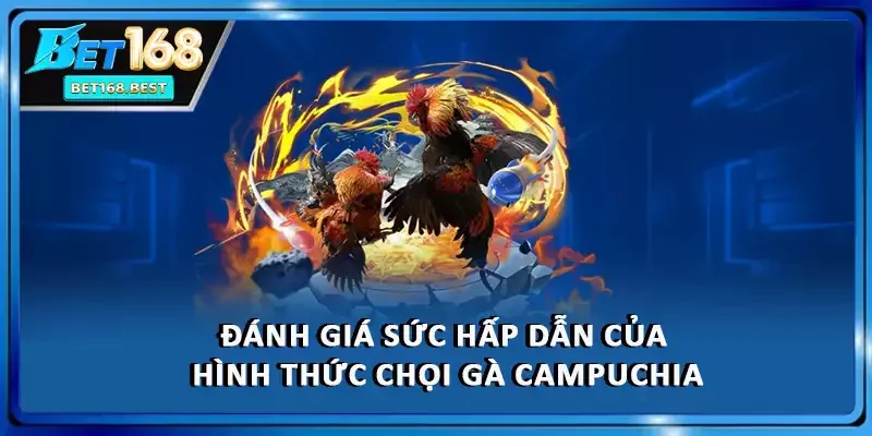 Đánh giá sức hấp dẫn của hình thức chọi gà Campuchia Đánh giá sức hấp dẫn của hình thức chọi gà Campuchia