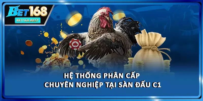 Hệ thống phân cấp chuyên nghiệp tại sàn đấu C1 Hệ thống phân cấp chuyên nghiệp tại sàn đấu C1