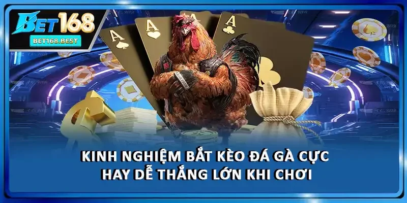 Kinh nghiệm bắt cược cực hay dễ thắng lớn khi chơi Kinh nghiệm bắt cược cực hay dễ thắng lớn khi chơi