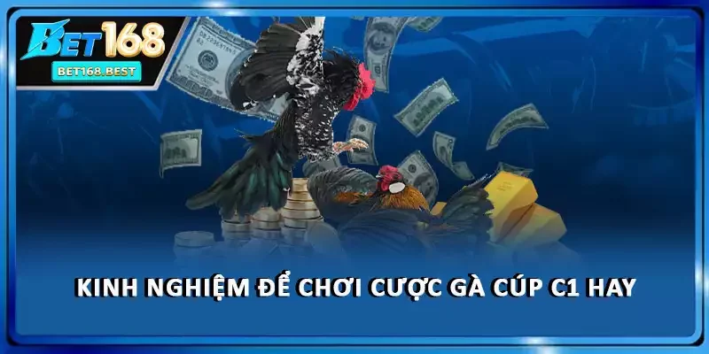 Kinh nghiệm để chơi cược gà cúp C1 hay Kinh nghiệm để chơi cược gà cúp C1 hay