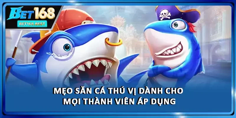 Mẹo săn cá thú vị dành cho mọi thành viên áp dụng Mẹo săn cá thú vị dành cho mọi thành viên áp dụng