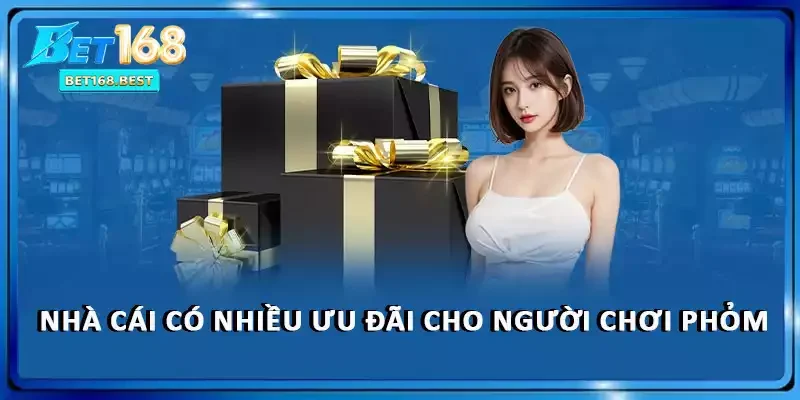 Nhà cái có nhiều ưu đãi cho người chơi phỏm