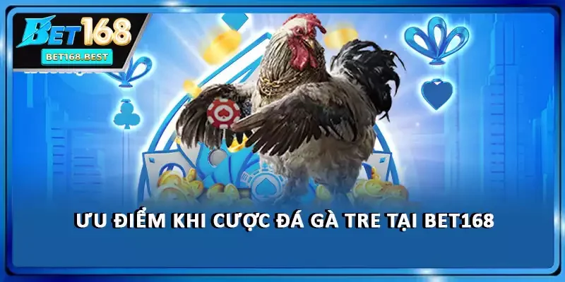 Ưu điểm khi cược đá gà tre tại BET168 Ưu điểm khi cược đá gà tre tại BET168