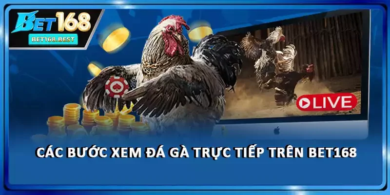 Các bước xem đá gà trực tiếp trên BET168 Các bước xem đá gà trực tiếp trên BET168